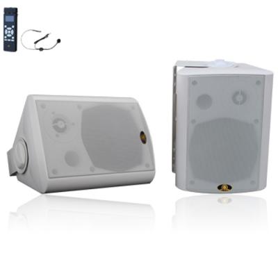 2.4G Wireless Lautsprecher mit eingebautem Verstärker