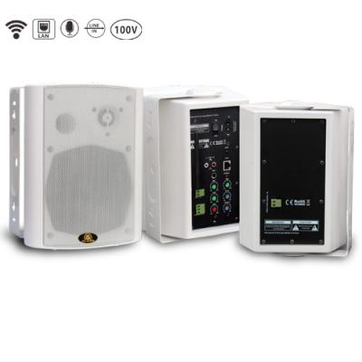 2.0 Powered Wandhalterung WiFi Lautsprecher RH609WF