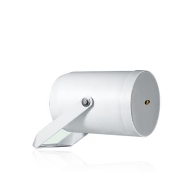 Unidirektionaler wetterfester Projektionslautsprecher RH-CH06